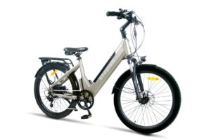 Magnum Cosmo S